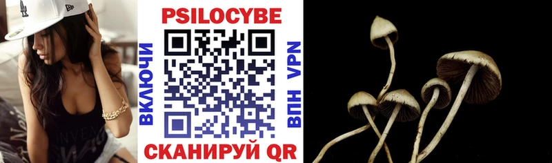 Галлюциногенные грибы Psilocybine cubensis  Лесной 