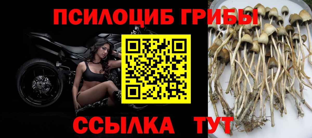 Галлюциногенные грибы Magic Shrooms Лесной