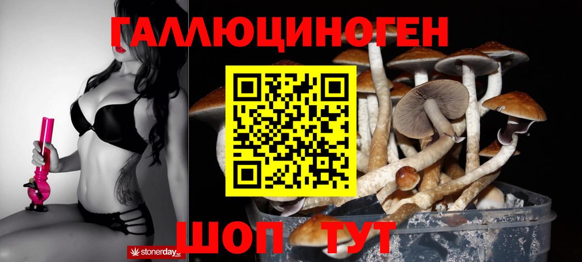 Псилоцибиновые грибы мицелий Лесной