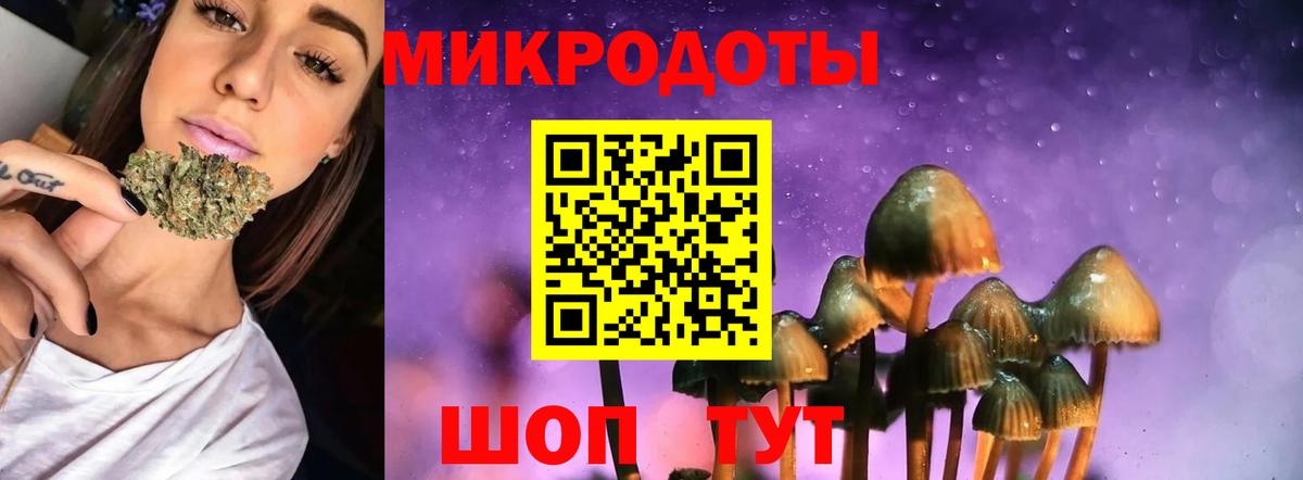 Галлюциногенные грибы прущие грибы  Вход с VPN  Галлюциногенные грибы GOLDEN TEACHER  Лесной 