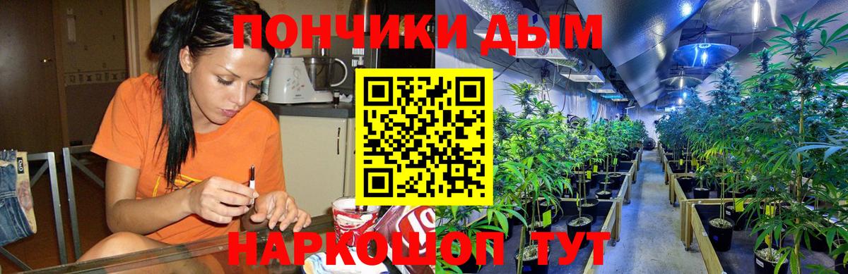 Лесной  Марихуана Bruce Banner  Канабис AK-47  Вход с VPN  Канабис тримм 