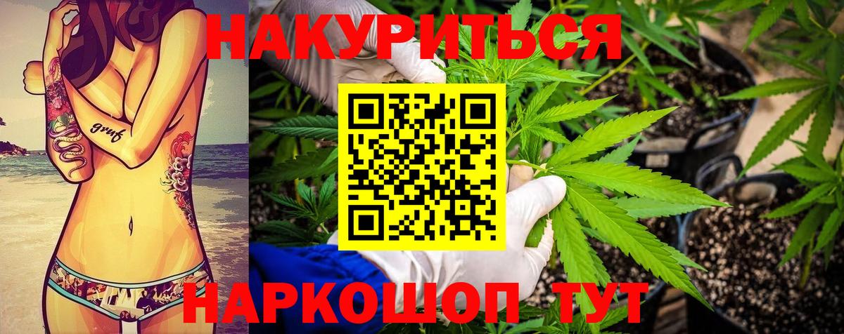 Канабис MAZAR Лесной